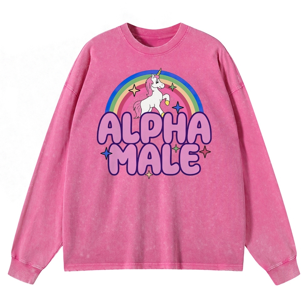 Alpha Male Unicorn & Rainbow Graphic Washed Long-Sleeved T-Shirt
