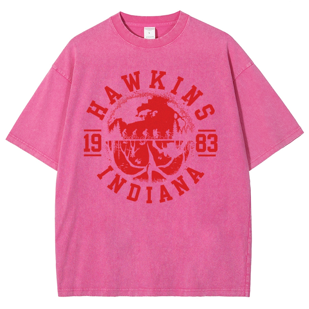 Echo County 1983 Washed T-Shirt 