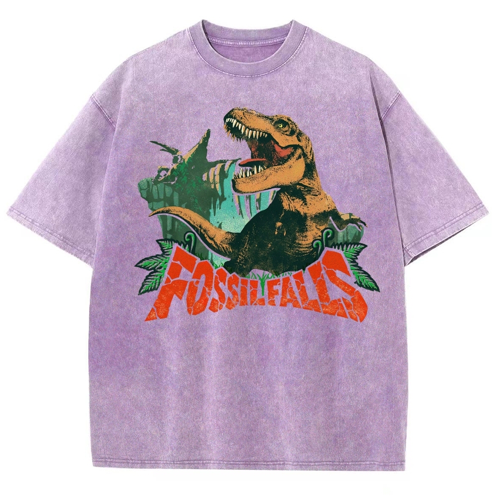 Fossil Falls T-Rex Graphic Washed T-Shirt