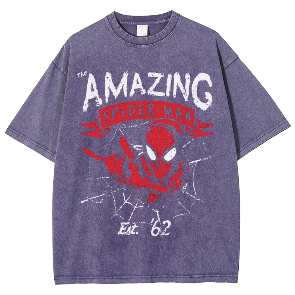 The Amazing Spider-Man Est. '62 Graphic Washed T-Shirt