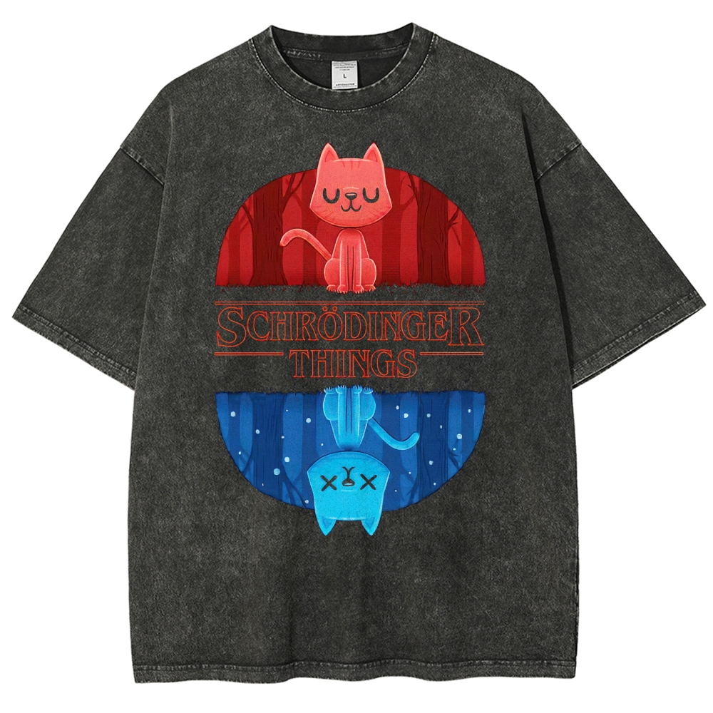 Schrödinger Things Cat Graphic Washed T-Shirt