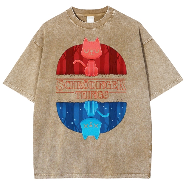 Schrödinger Things Cat Graphic Washed T-Shirt