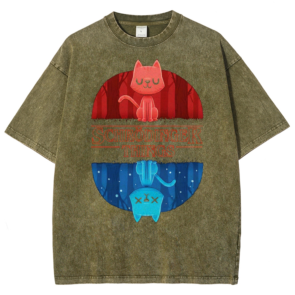 Schrödinger Things Cat Graphic Washed T-Shirt