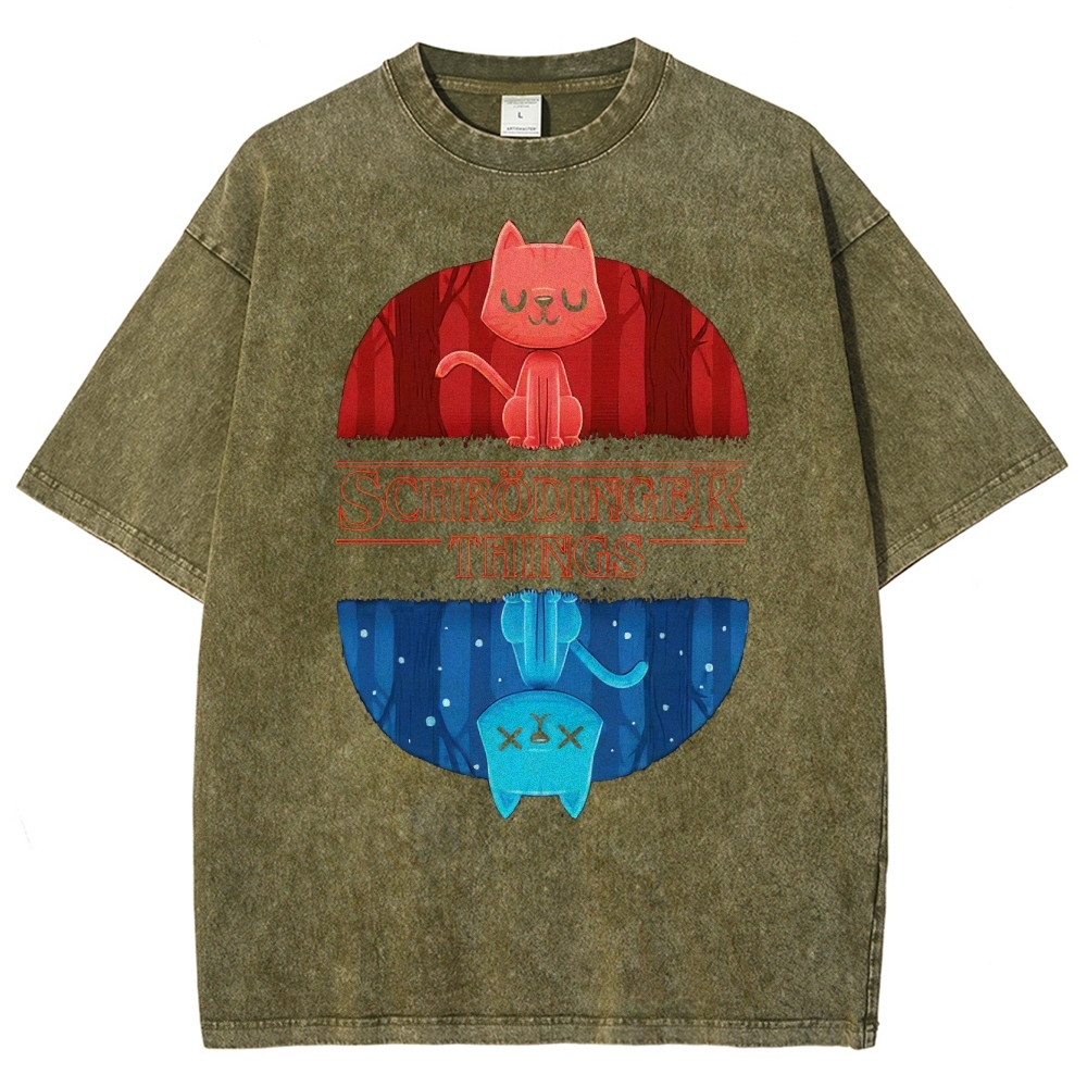 Schrödinger Things Cat Graphic Washed T-Shirt