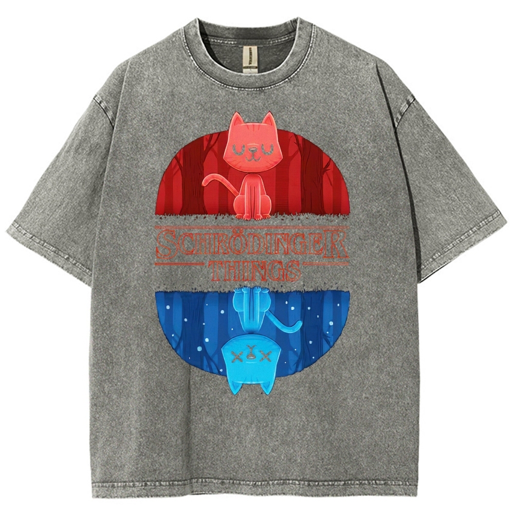 Schrödinger Things Cat Graphic Washed T-Shirt