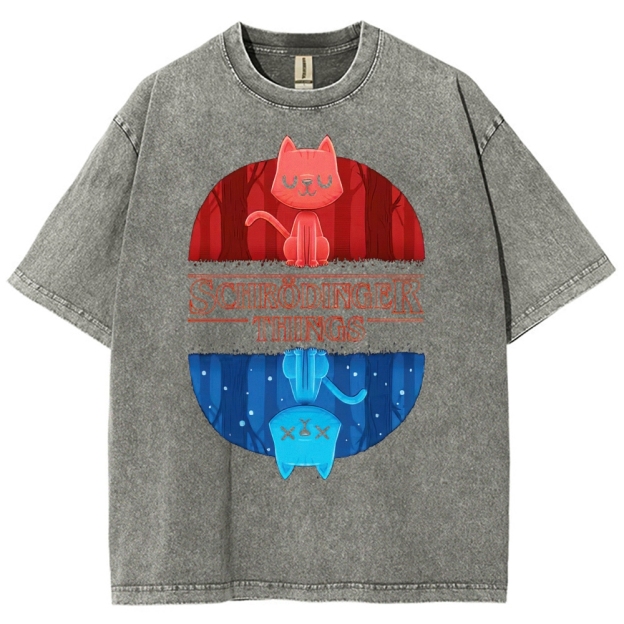 Schrödinger Things Cat Graphic Washed T-Shirt