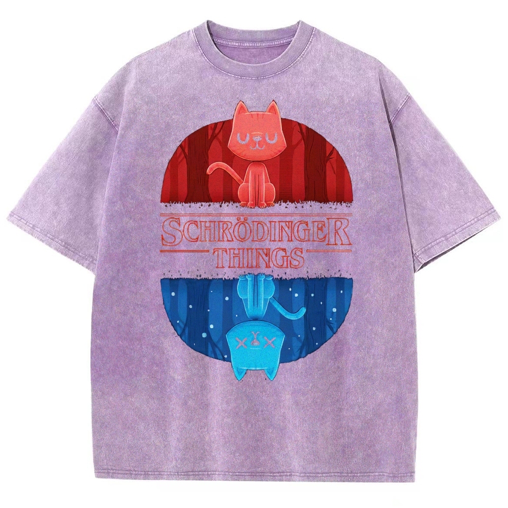 Schrödinger Things Cat Graphic Washed T-Shirt