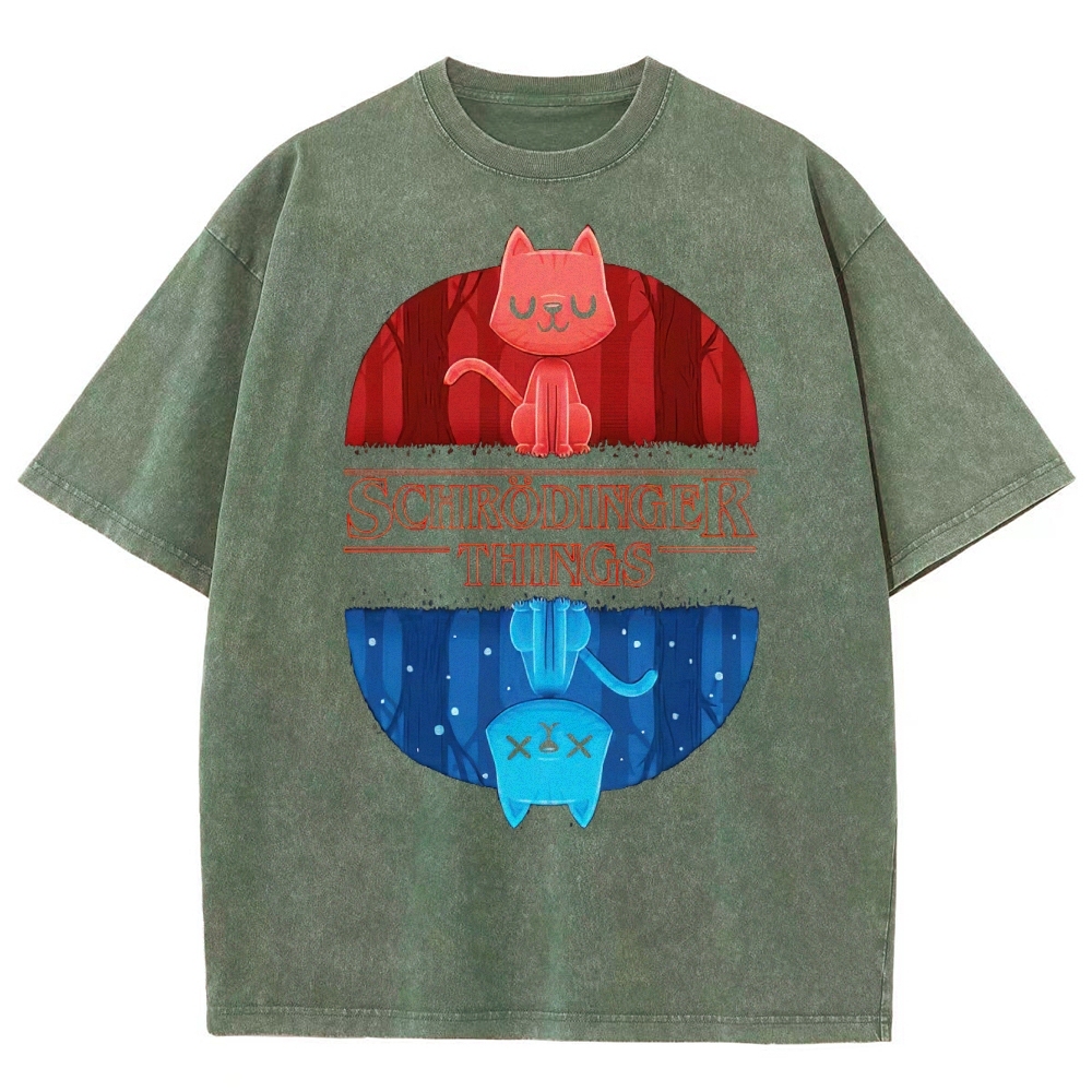 Schrödinger Things Cat Graphic Washed T-Shirt