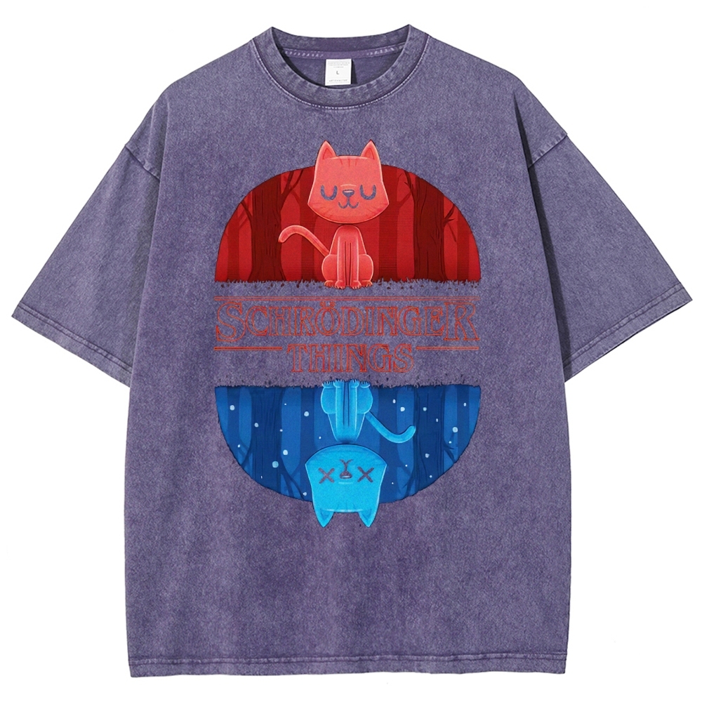 Schrödinger Things Cat Graphic Washed T-Shirt