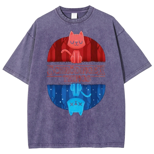 Schrödinger Things Cat Graphic Washed T-Shirt