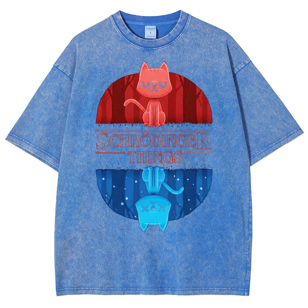 Schrödinger Things Cat Graphic Washed T-Shirt