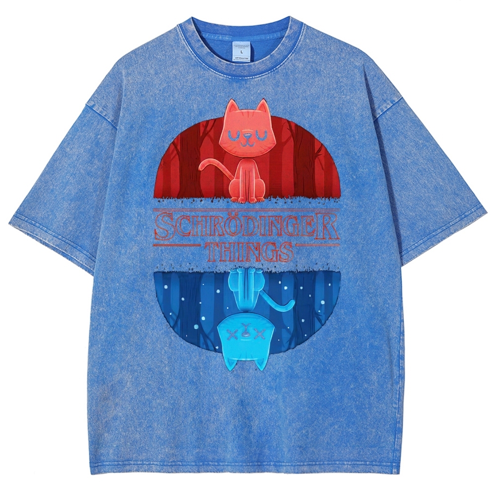 Schrödinger Things Cat Graphic Washed T-Shirt