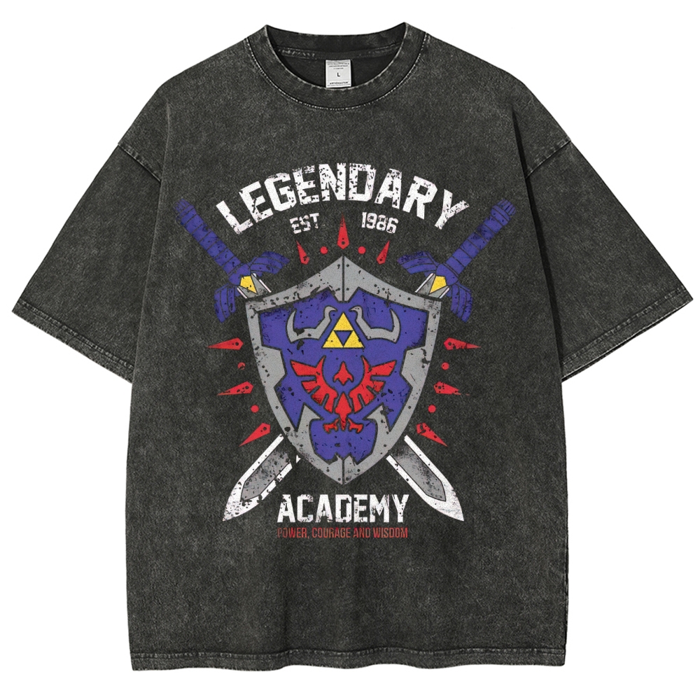 Legendary Academy Power Courage Wisdom Washed T-Shirt