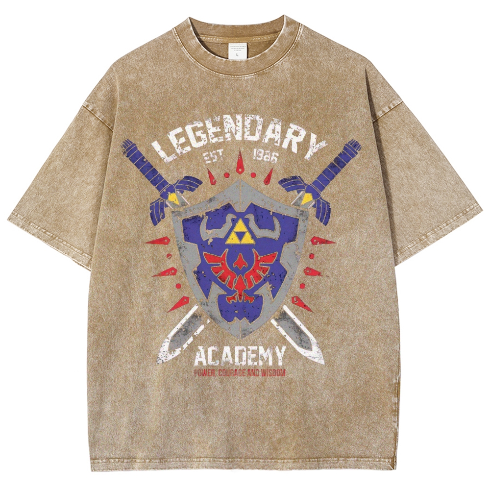 Legendary Academy Power Courage Wisdom Washed T-Shirt