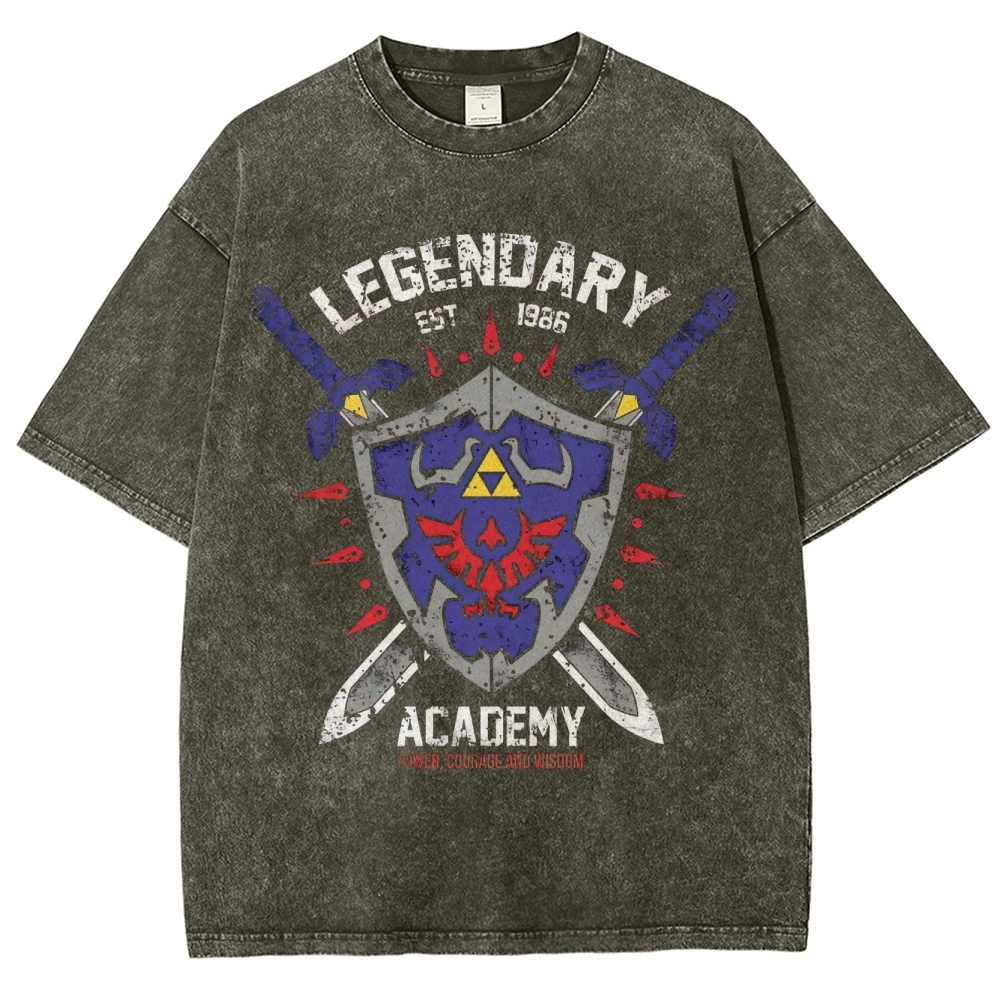Legendary Academy Power Courage Wisdom Washed T-Shirt