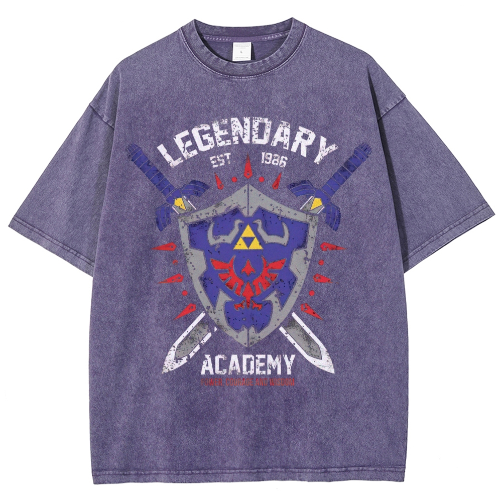 Legendary Academy Power Courage Wisdom Washed T-Shirt