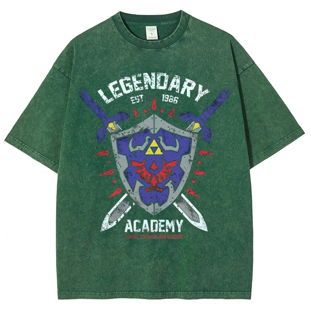 Legendary Academy Power Courage Wisdom Washed T-Shirt