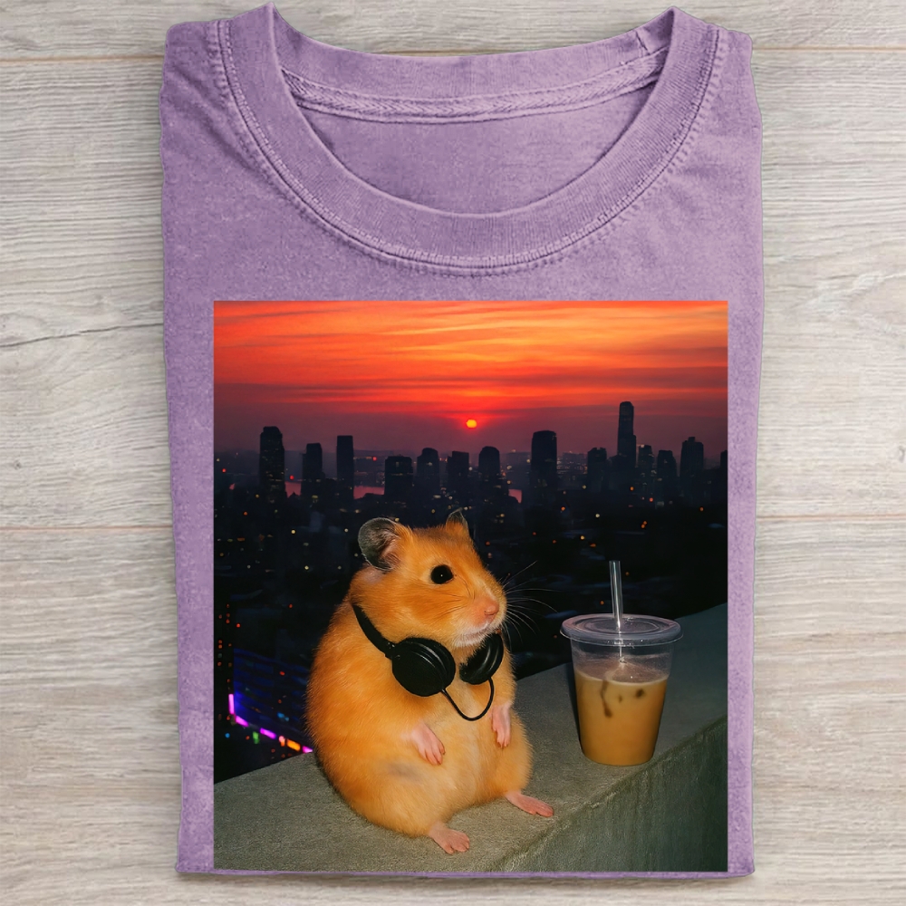 Vintage City Sunset Hamster Washed Tee 