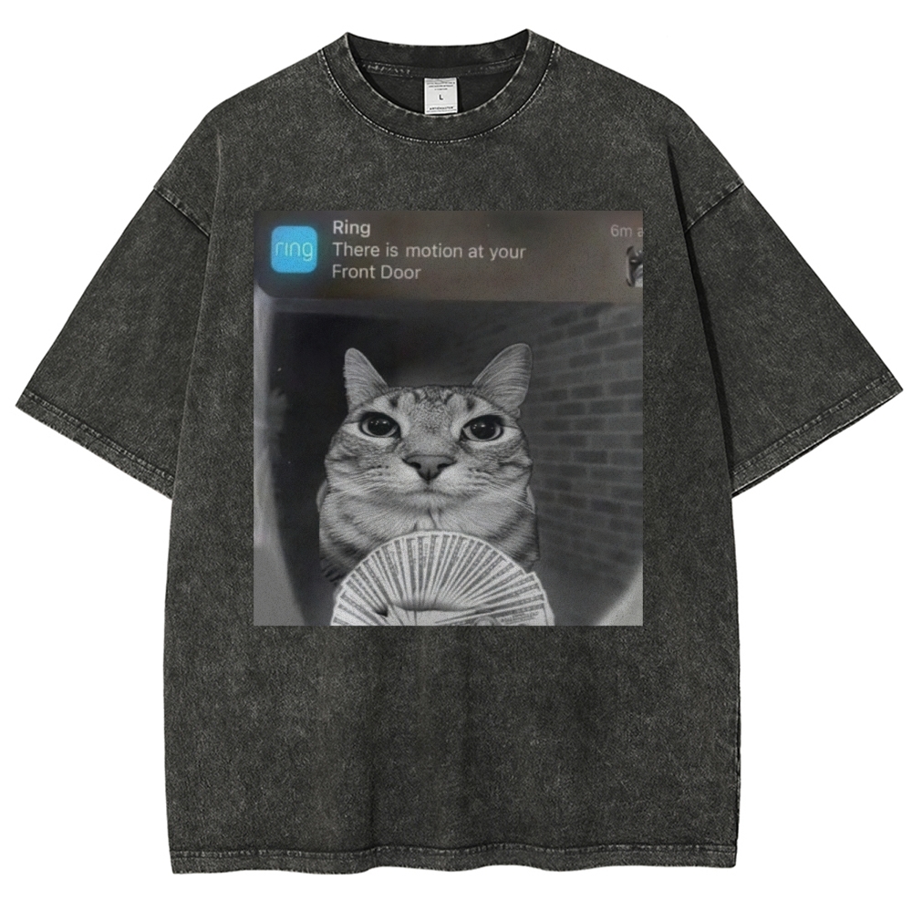Ring Cat with Motion Meme - Funny Cat Washed T-Shirt 