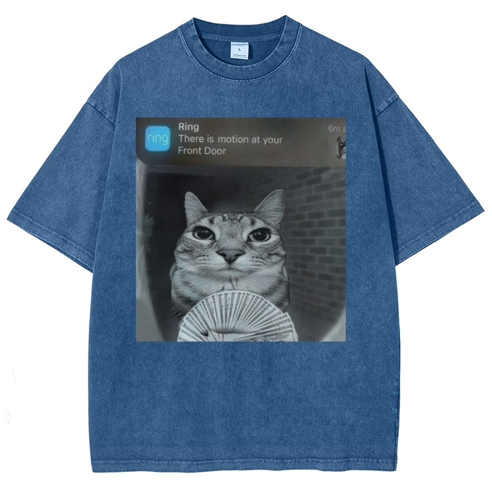 Ring Cat with Motion Meme - Funny Cat Washed T-Shirt 