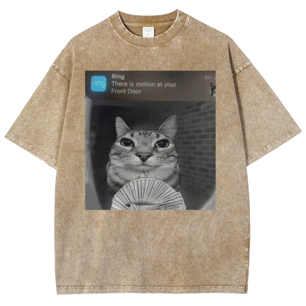 Ring Cat with Motion Meme - Funny Cat Washed T-Shirt 