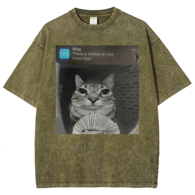 Ring Cat with Motion Meme - Funny Cat Washed T-Shirt 