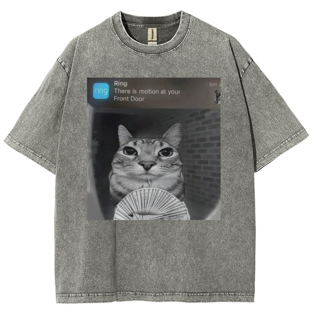 Ring Cat with Motion Meme - Funny Cat Washed T-Shirt 