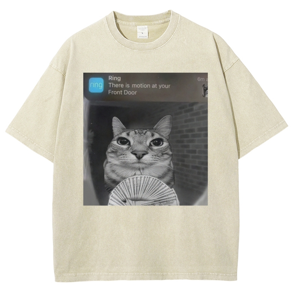 Ring Cat with Motion Meme - Funny Cat Washed T-Shirt 
