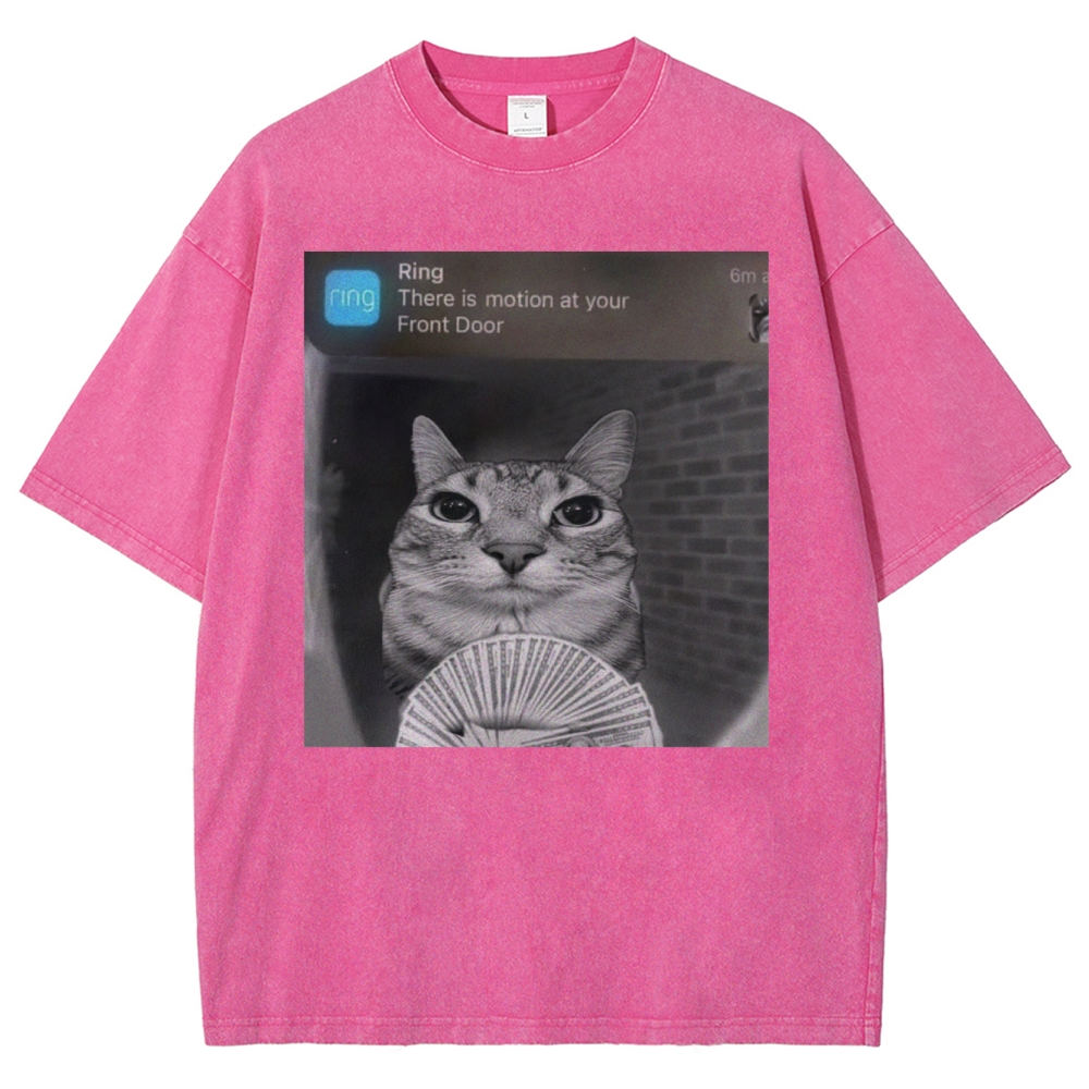 Ring Cat with Motion Meme - Funny Cat Washed T-Shirt 