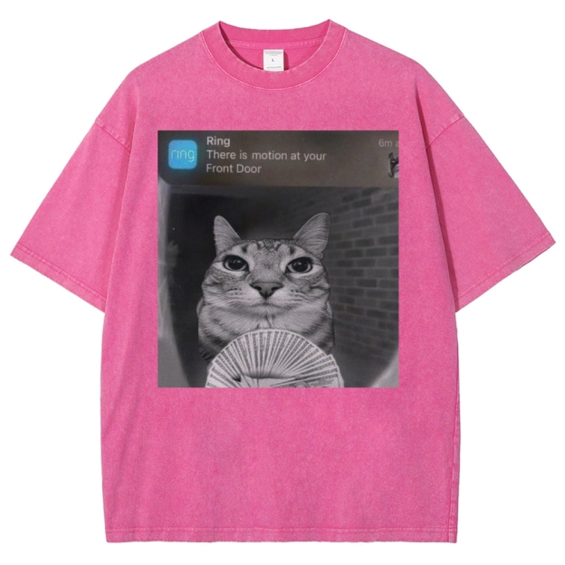 Ring Cat with Motion Meme - Funny Cat Washed T-Shirt 