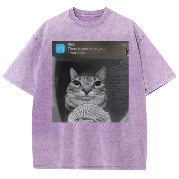 Ring Cat with Motion Meme - Funny Cat Washed T-Shirt 
