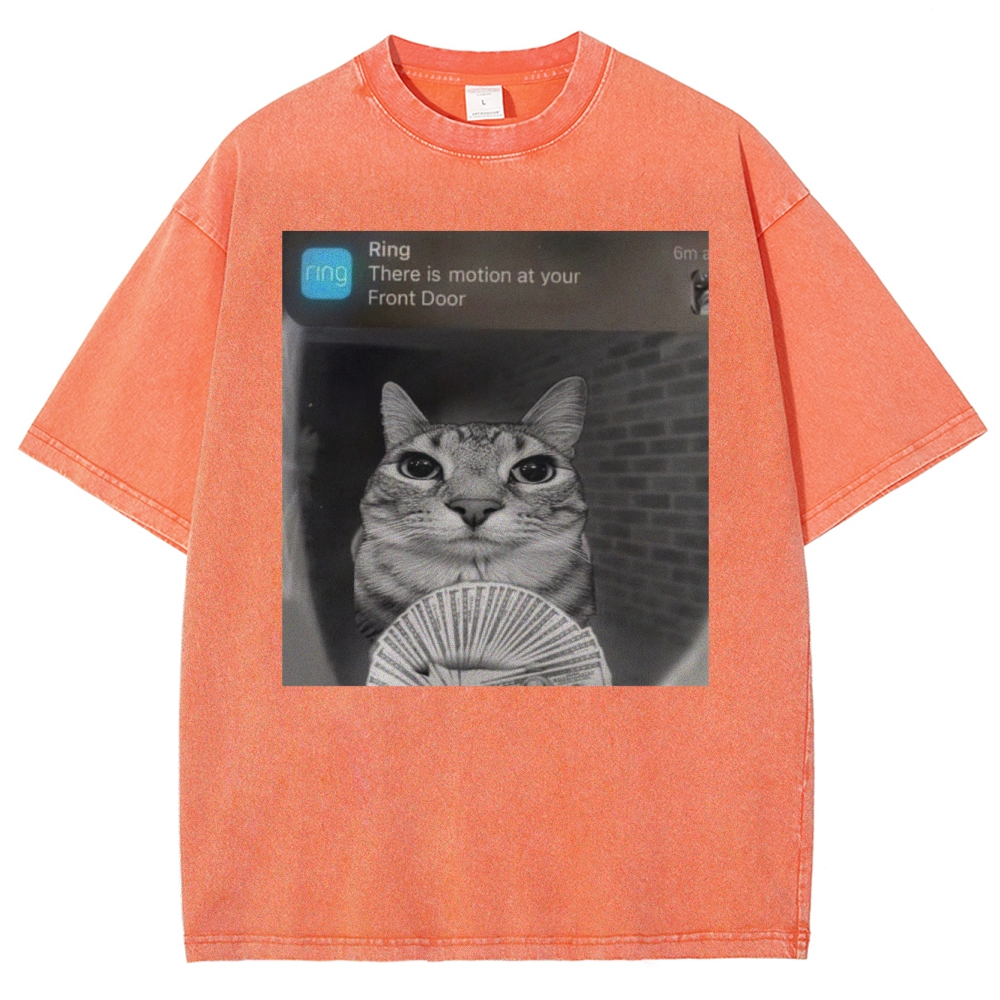 Ring Cat with Motion Meme - Funny Cat Washed T-Shirt 