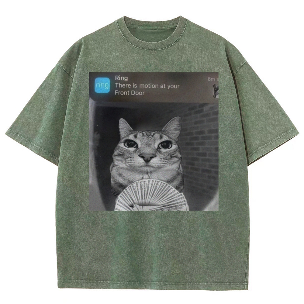 Ring Cat with Motion Meme - Funny Cat Washed T-Shirt 