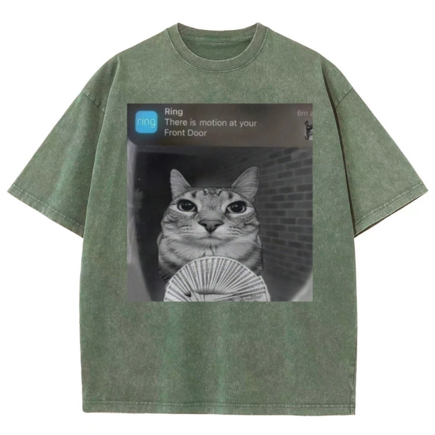 Ring Cat with Motion Meme - Funny Cat Washed T-Shirt 