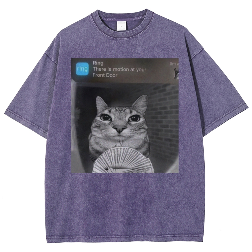 Ring Cat with Motion Meme - Funny Cat Washed T-Shirt 