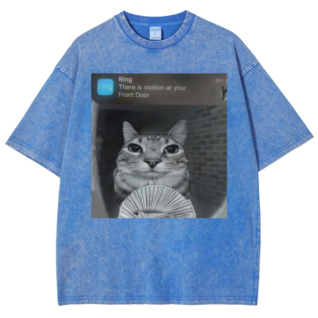 Ring Cat with Motion Meme - Funny Cat Washed T-Shirt 
