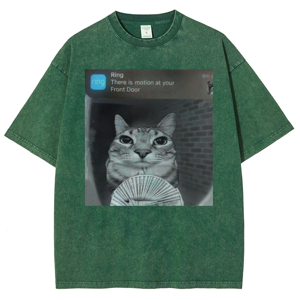 Ring Cat with Motion Meme - Funny Cat Washed T-Shirt 