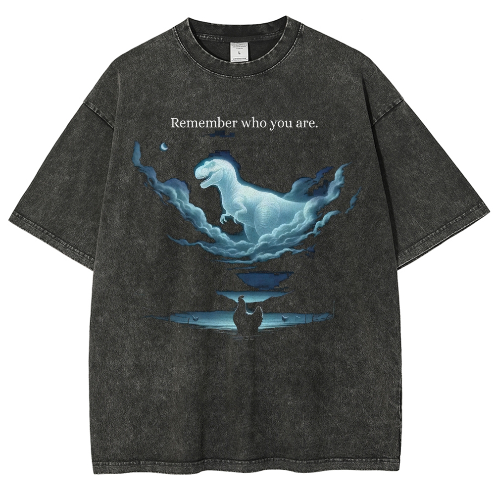 Cloud Dinosaur & Chicken Reflection  Washed T-Shirt 