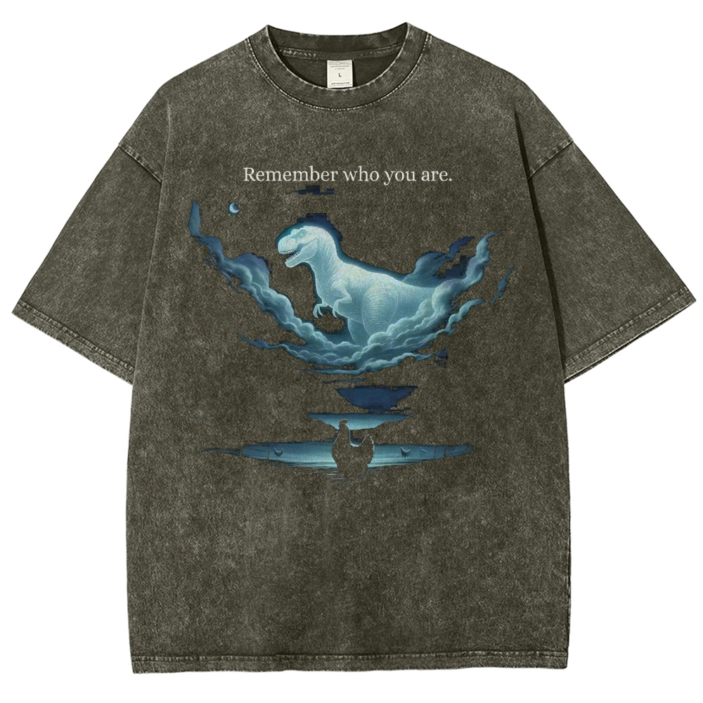 Cloud Dinosaur & Chicken Reflection  Washed T-Shirt 