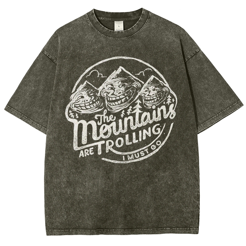 Funny Meme Mountain Washed T-Shirt