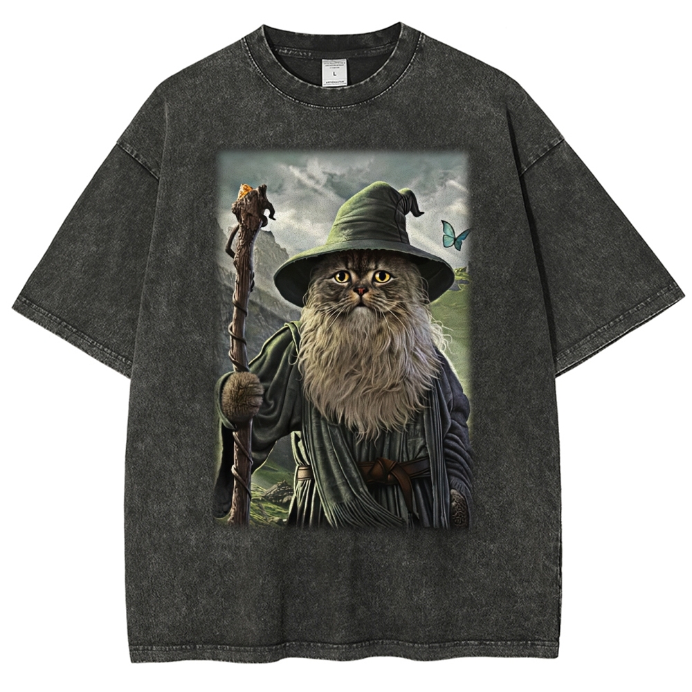 Wizard Cat Fantasy Magic Adventure Washed T-Shirt