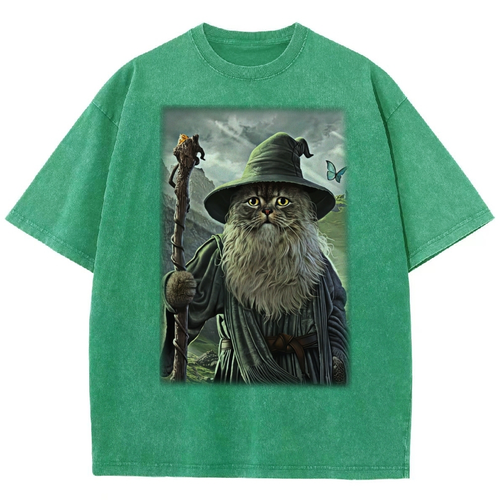 Wizard Cat  Fantasy Magic Adventure Washed T-Shirt 