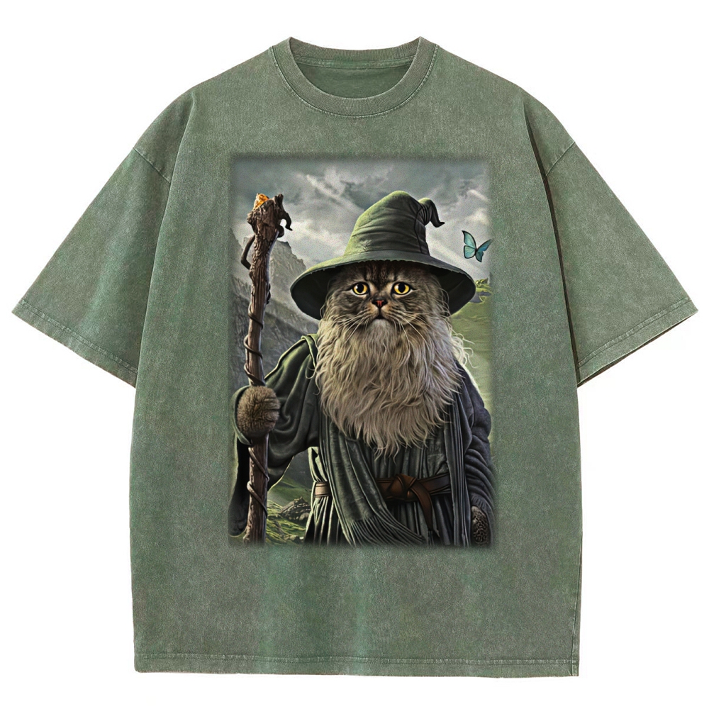 Wizard Cat  Fantasy Magic Adventure Washed T-Shirt 
