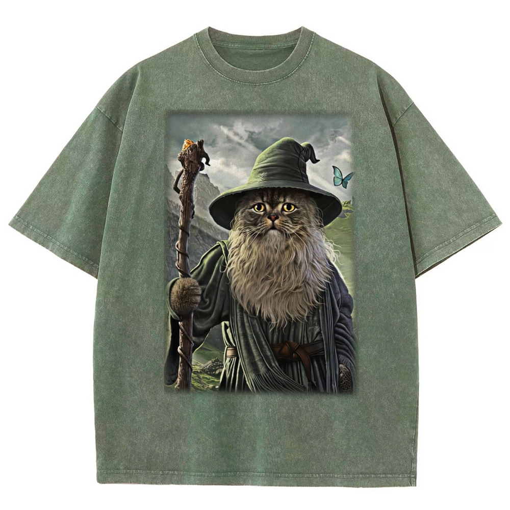 Wizard Cat  Fantasy Magic Adventure Washed T-Shirt 