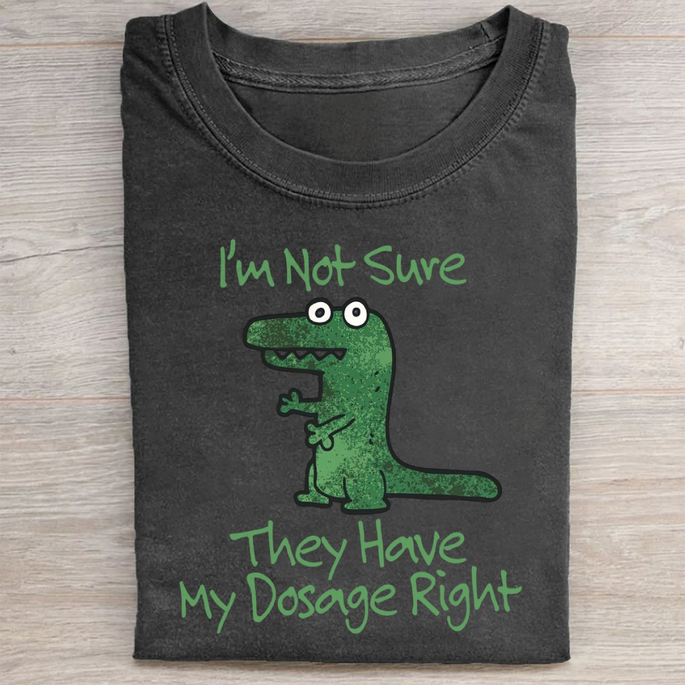 Dinosaur Meme Washed Tee 