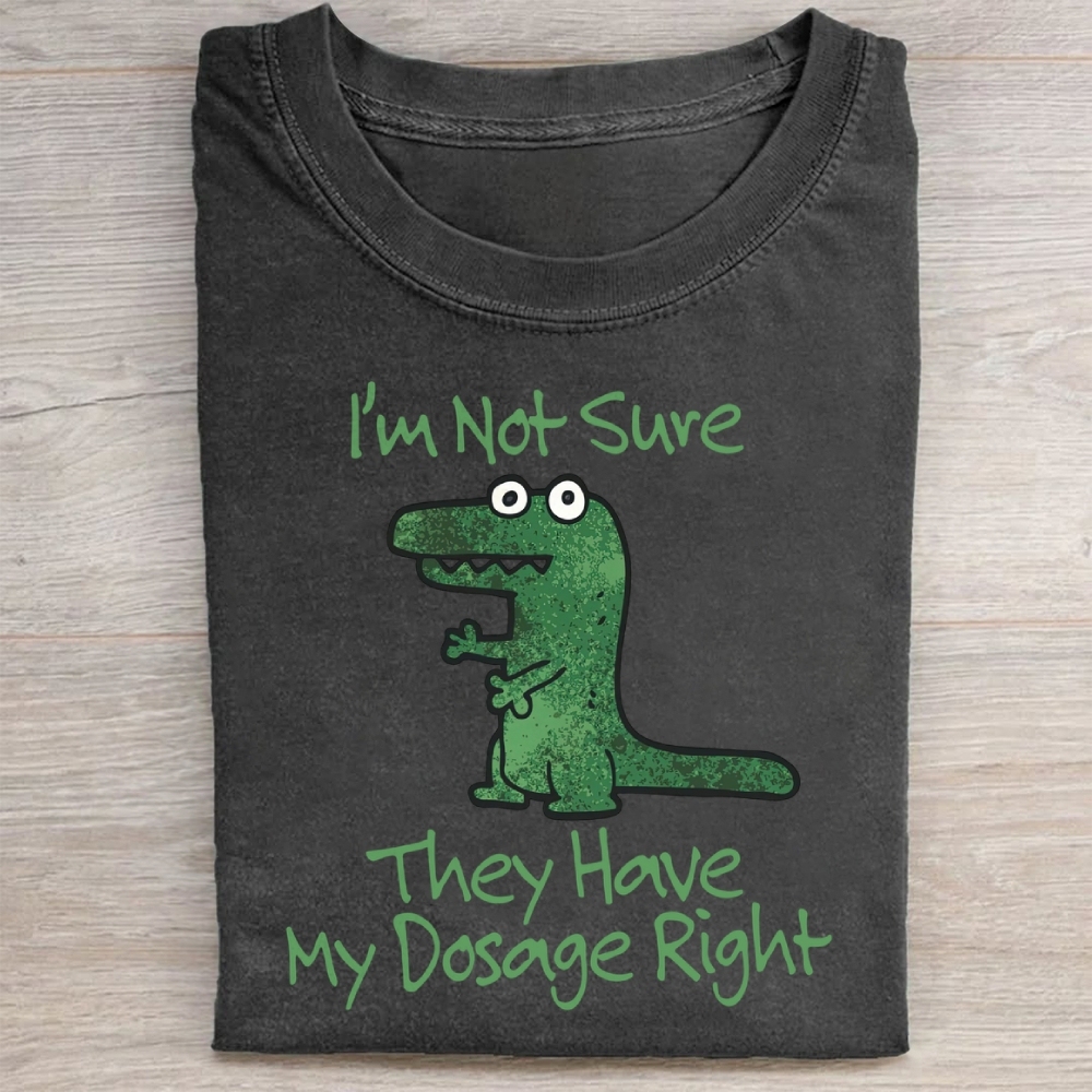 Dinosaur Meme Washed Tee 