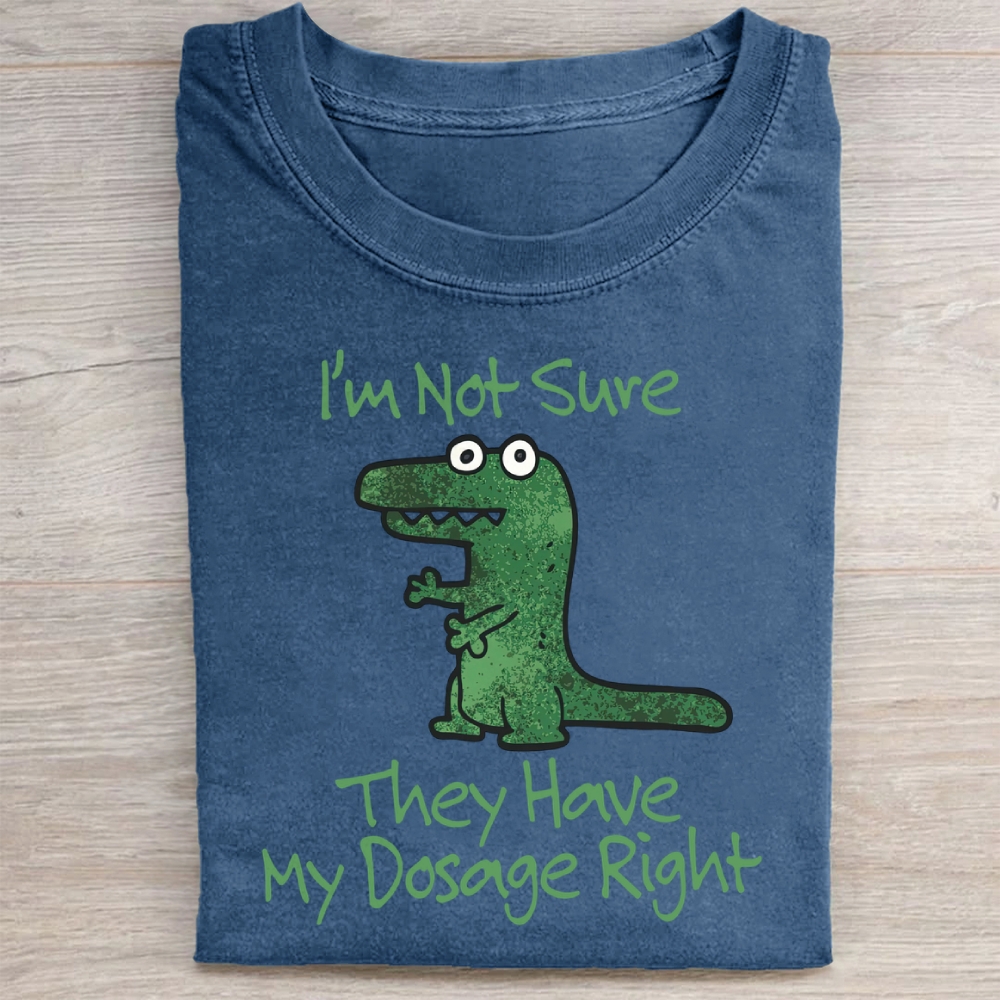 Dinosaur Meme Washed Tee 