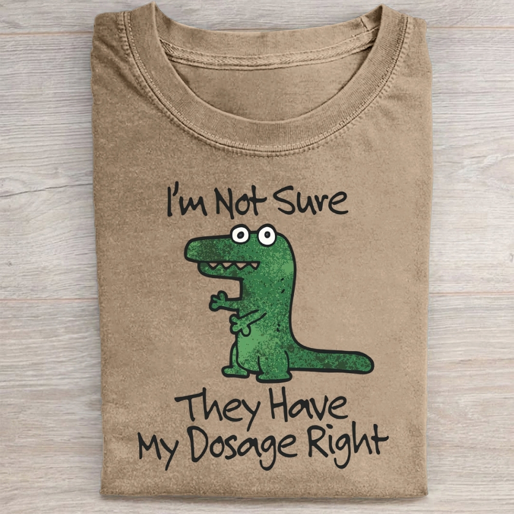 Dinosaur Meme Washed Tee 