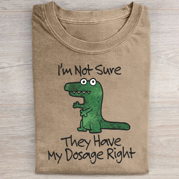 Dinosaur Meme Washed Tee 