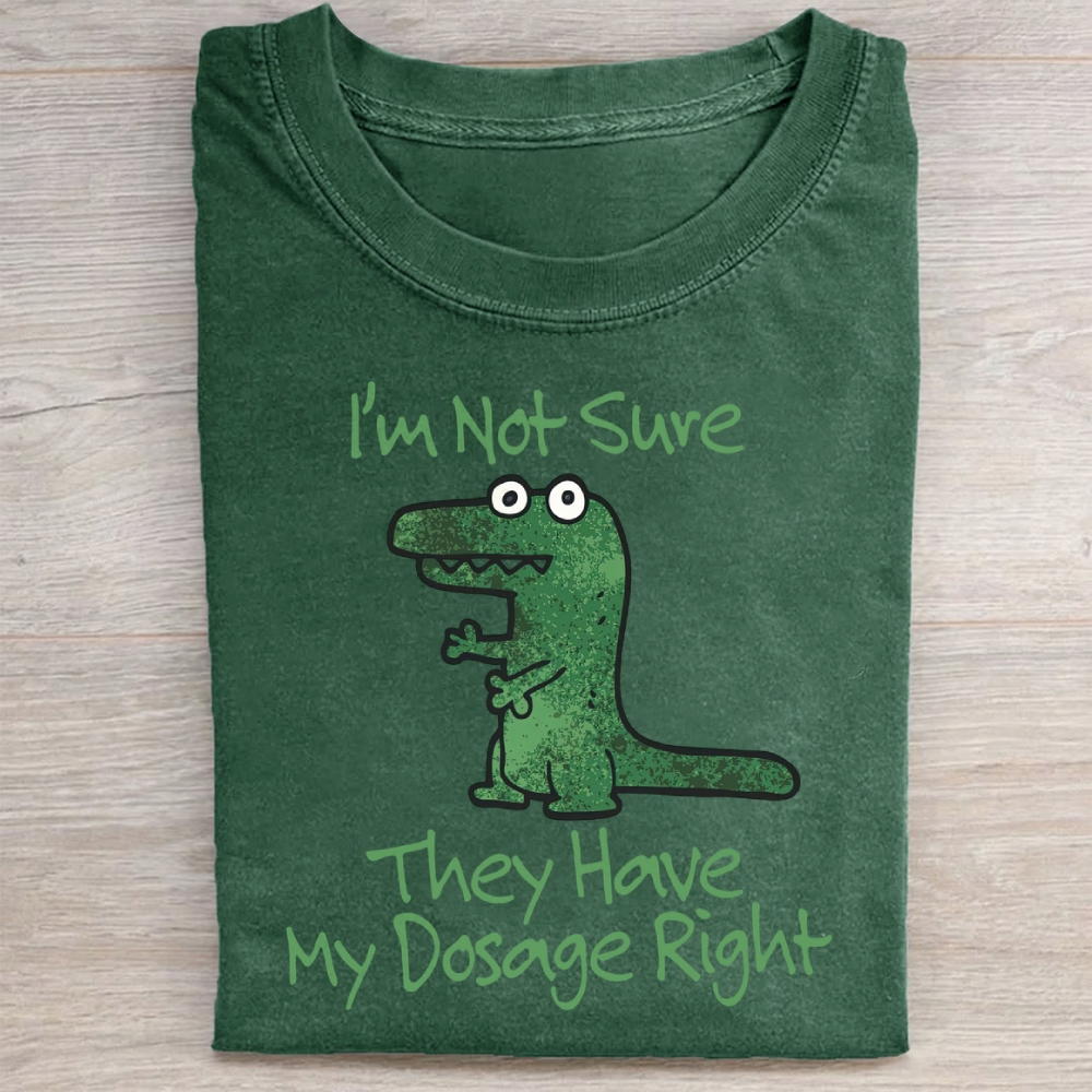 Dinosaur Meme Washed Tee 